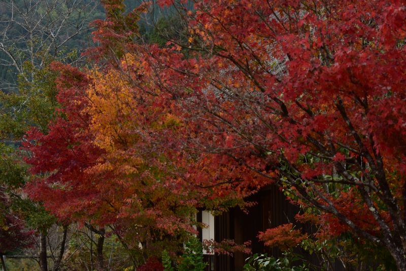 小川作小屋